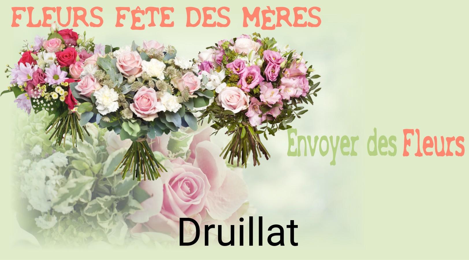 Bouquet de Fête des Mères livré à Druillat